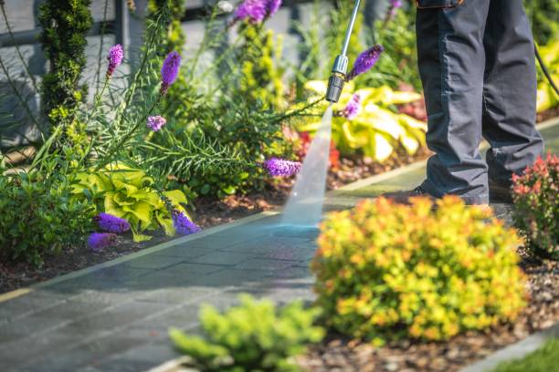 Trusted Espy, PA Pressure Washing Services Experts